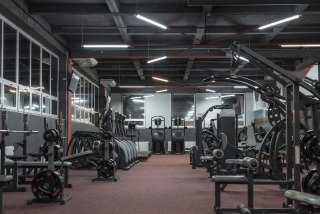 Gymnasium